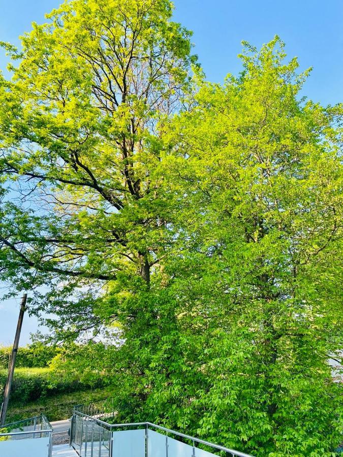 Ferienwohnung Waldblick Kaufungen Eksteriør billede